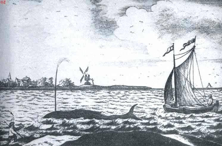 Walvisvangst in het Mastgat bij St. Annaland (1682)