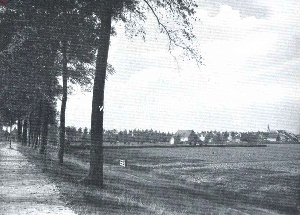 Een vergeten eiland. Bij Oud-Vosmeer
