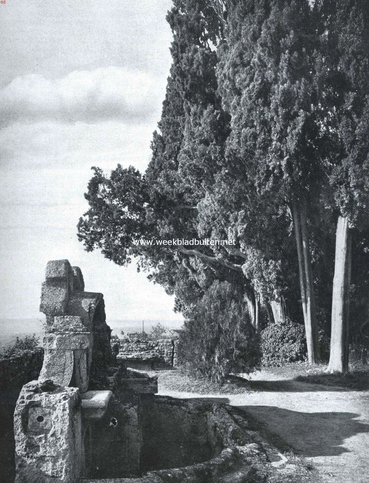 In het park van de Villa d' Este bij Tivoli