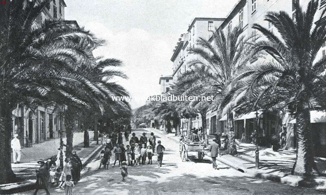 De Avenue du Premier Consul, te Ajaccio