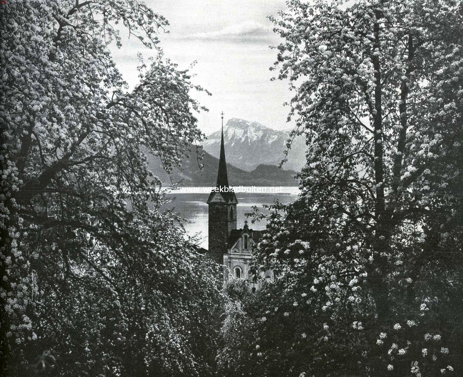 Bloesemweelde aan het Vierwaldstttermeer (bij Weggis)