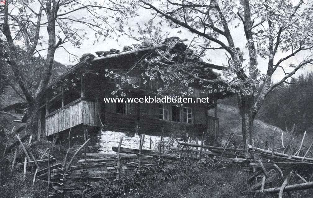Bloesemweelde bij een huisje in Grindelwald