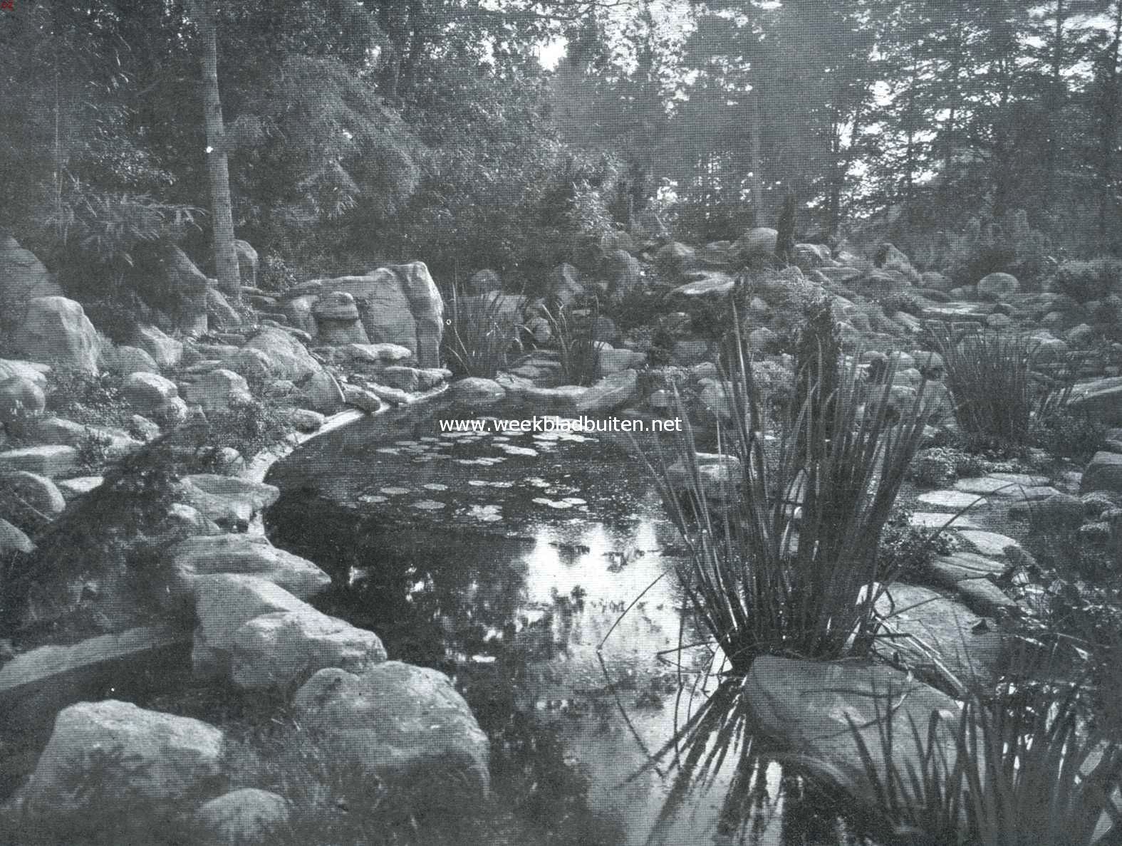 Water- en rotspartij op 