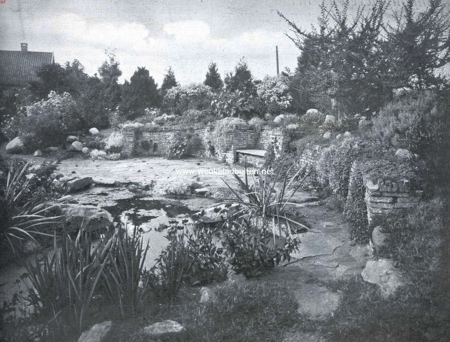 Het rijkste hoekje van den tuin