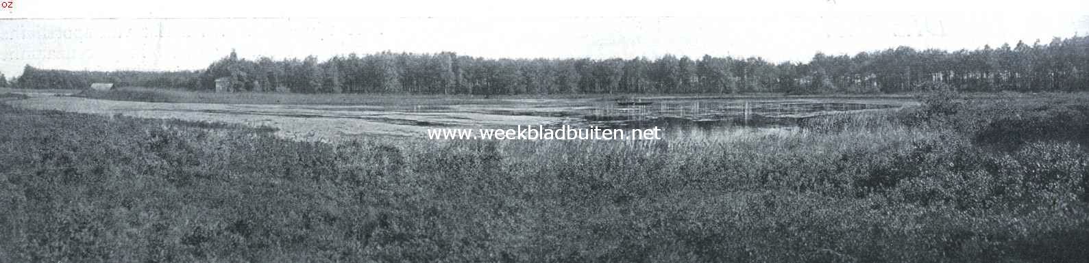 Het Molenven te Saesveld bij Borne. Dit mooie plekje zal eerstdaags publiek verkocht worden. Moge het niet in handen van ontginners komen en zijn schoonheid verliezen