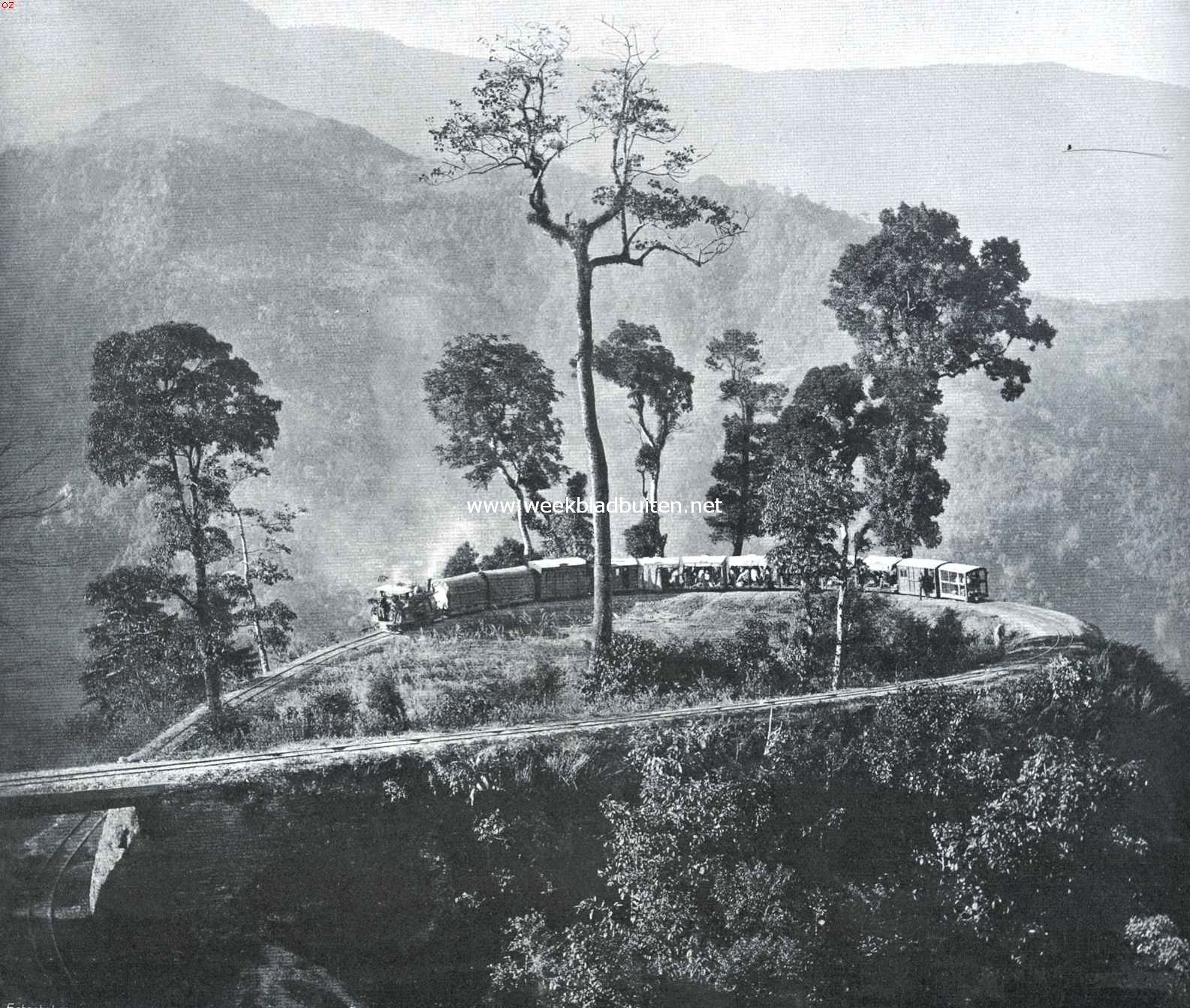 Op weg naar den Himalaya. De spoorlijn van Siliguri naar Dargeeling
