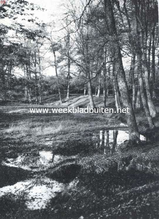 Herfst in het Wiesselsche bosch