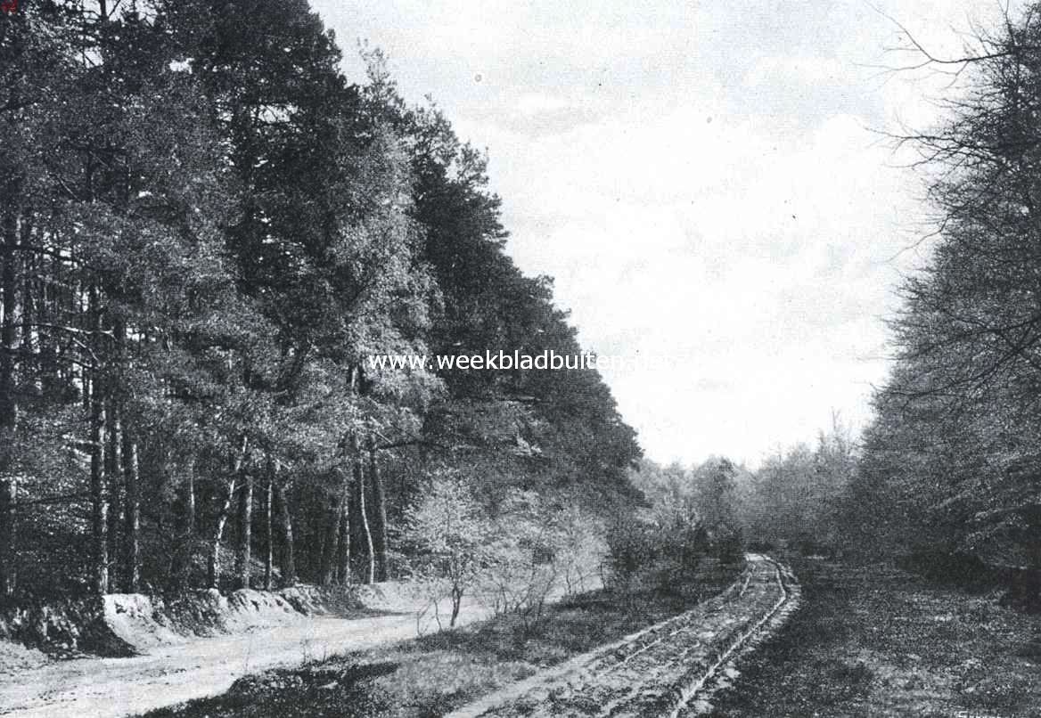 Boschweg