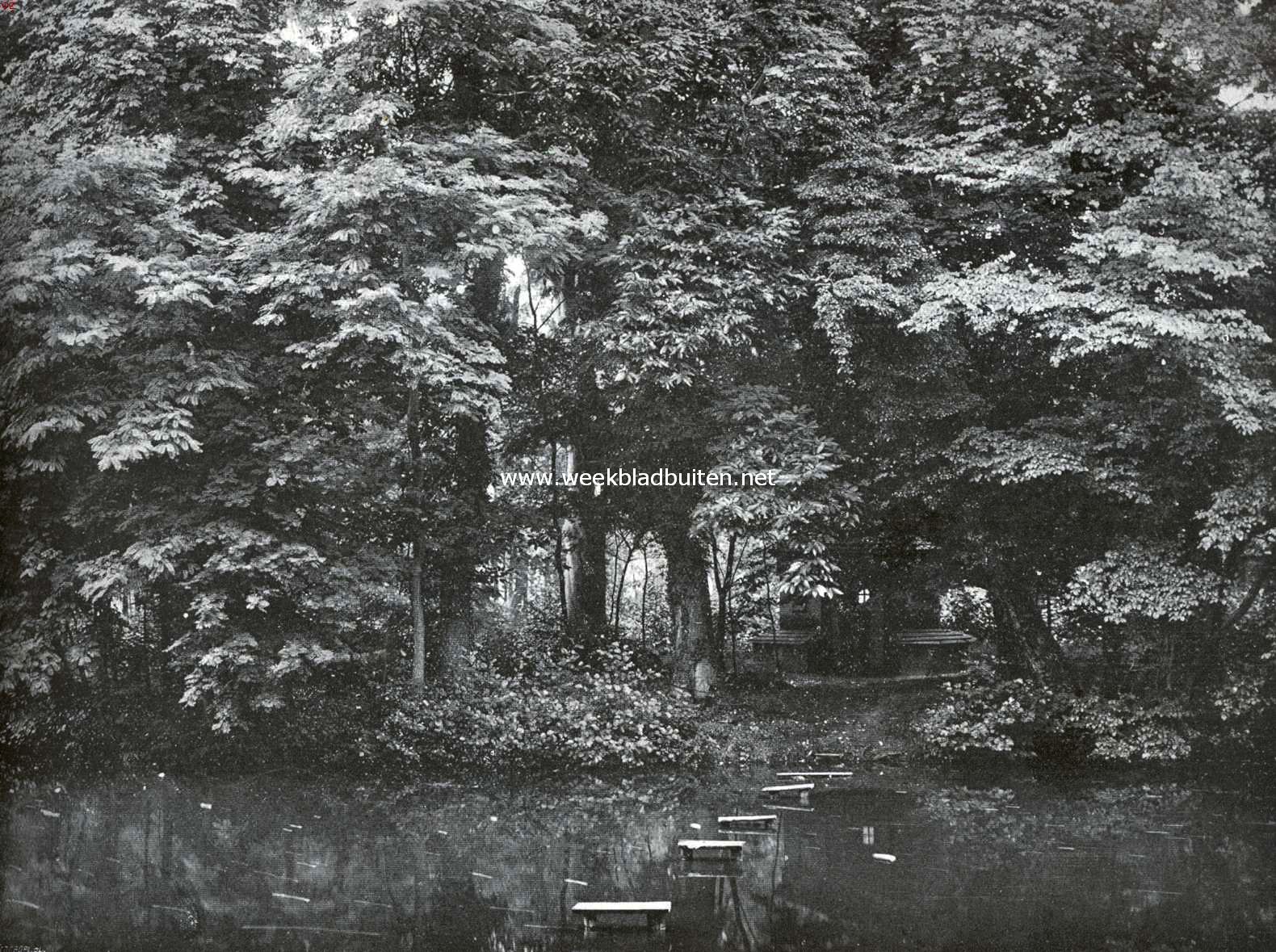 Een lommerrijk plekje in het park van Biljoen
