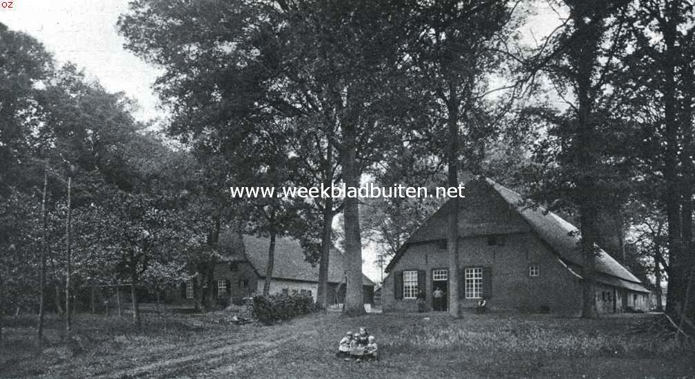 Boerderijen op Zegenwerp