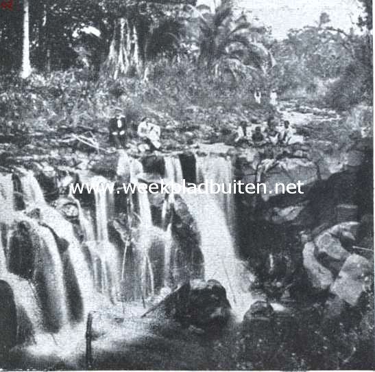 Watervallen bij Apia, Samoagroep