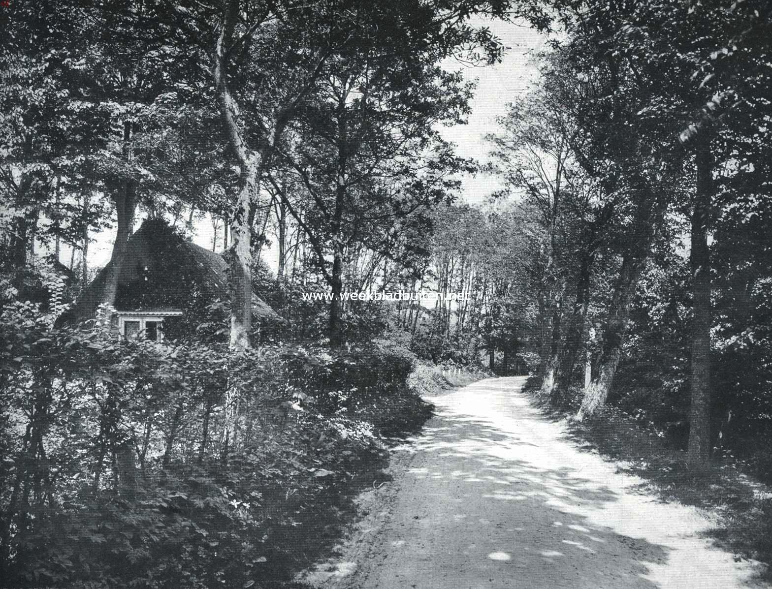 Om en in Egmond aan den Hoef. De weg van Egmond aan den Hoef naar Bergen bij Wimmenum
