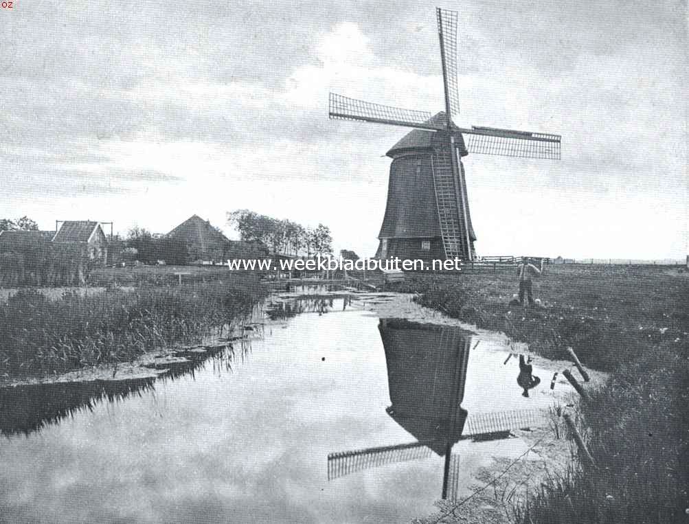 Om en in Egmond aan den Hoef. In de Egmonder Meer