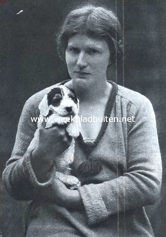 Sealyham terriers. Mevrouw Daendels-Van Rijck, met een harer beste pups van dit jaar