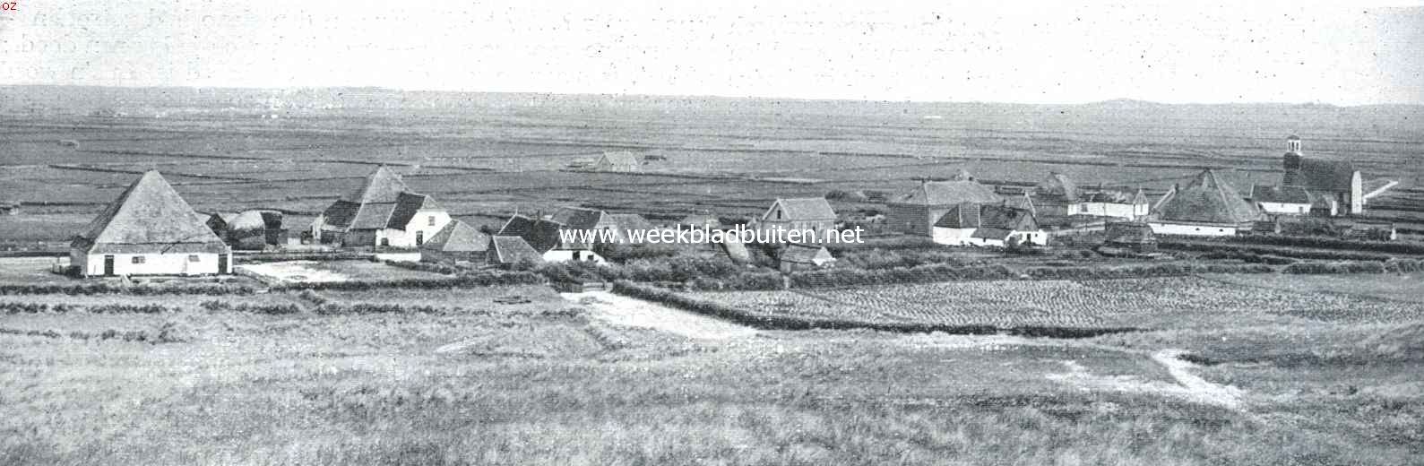 Texel. Gezicht van de duinen op het dorpje De Koog
