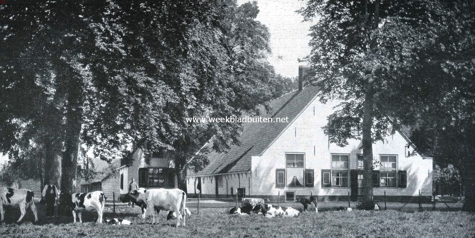 Boerderij op Spanderswoud