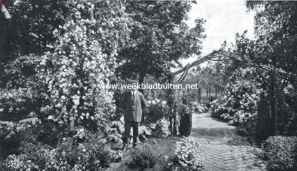 Spanderswoud. In den tuin. Links een merkwaardig-hooge rozenboom