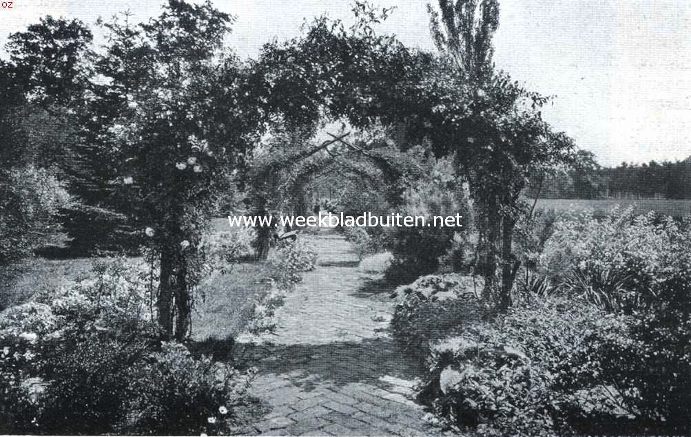 Spanderswoud. In den tuin