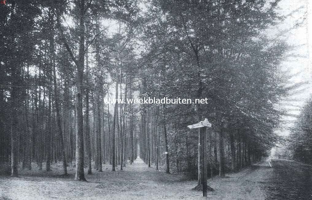 Ginneken. Het Mastbosch. Het eerste 