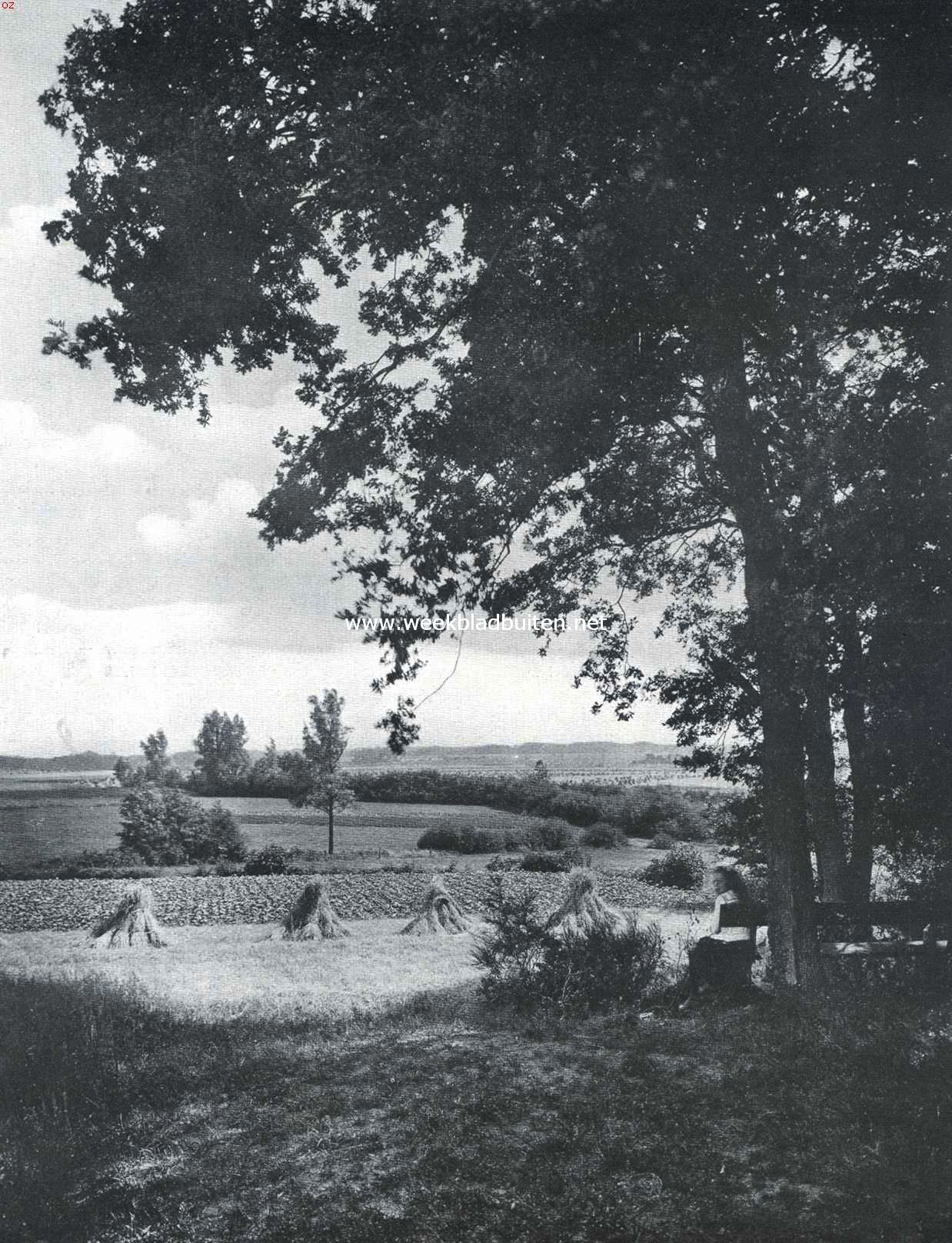 Het Twentsche heuvelland bij Ootmarsum