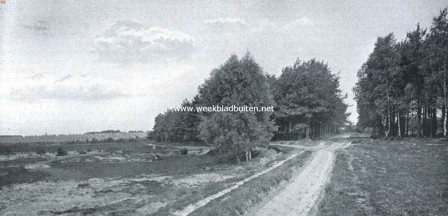 Een uithoek van Twente. Bosch en hei en akkerlanden