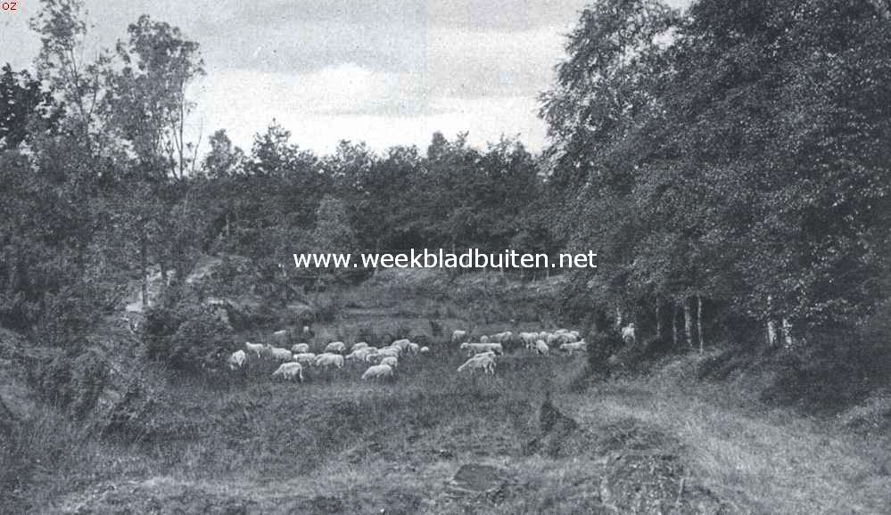 Een uithoek van Twente. Ootmarsum. De Sprengen
