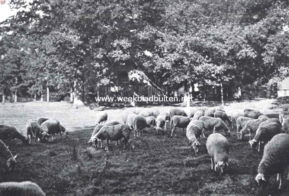 Een uithoek van Twente. Ootmarsum. Bij de oude schaapskooi