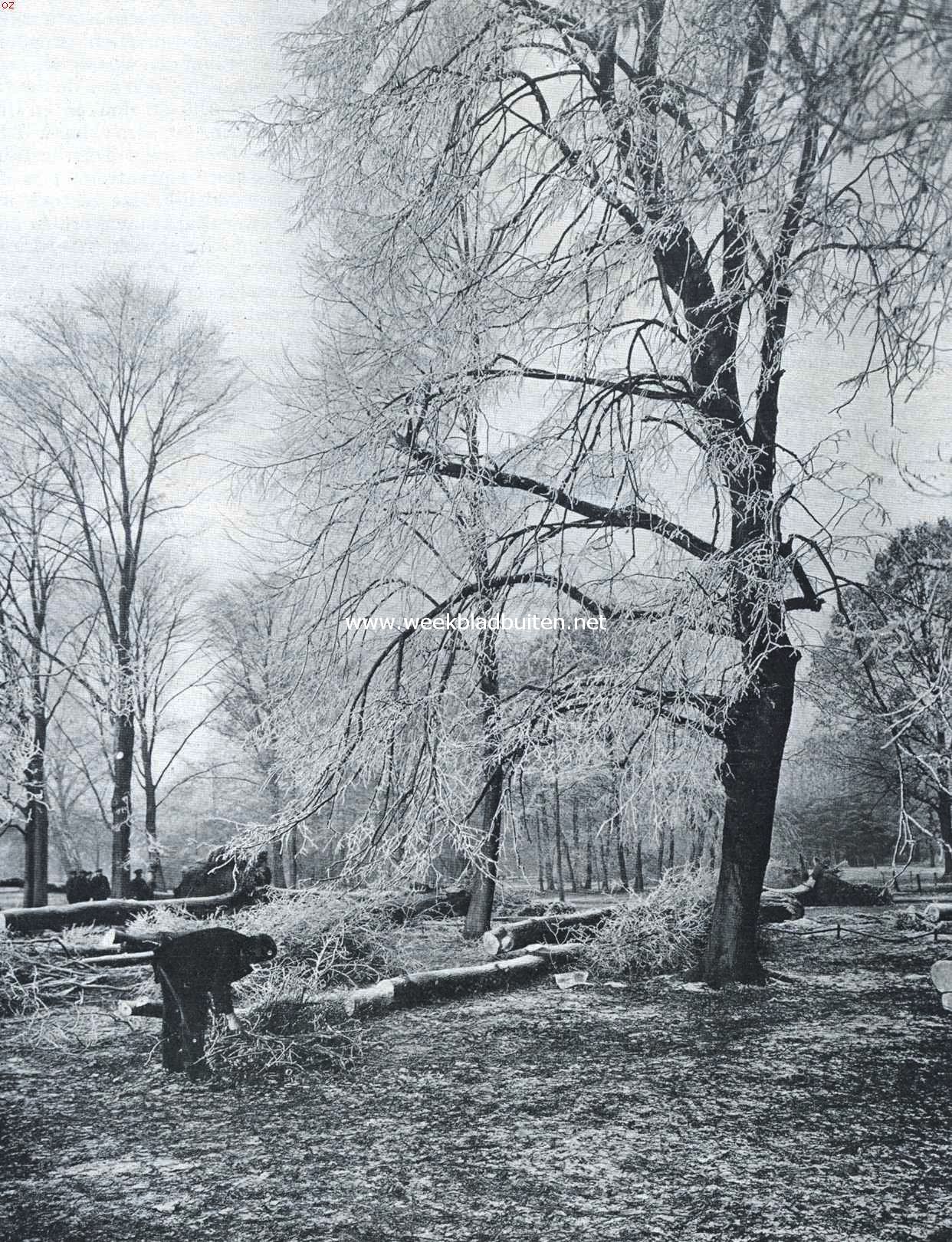 Stille winterpracht na den storm