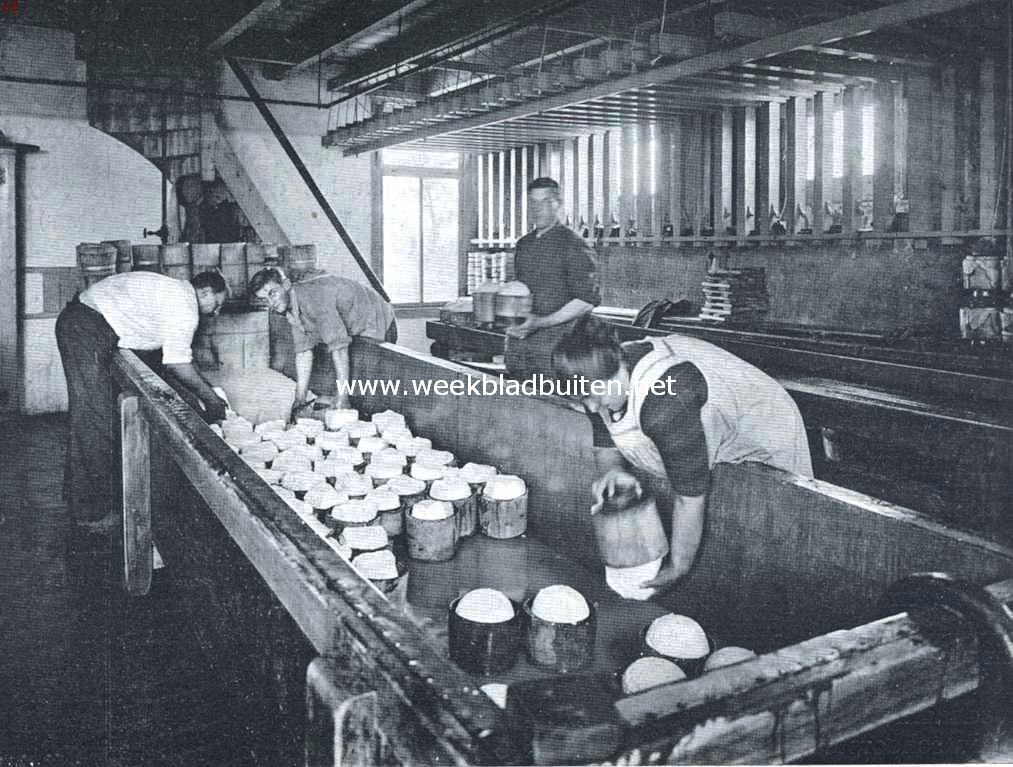 Kaasbereiding in een Noord-Hollandsche boerderij