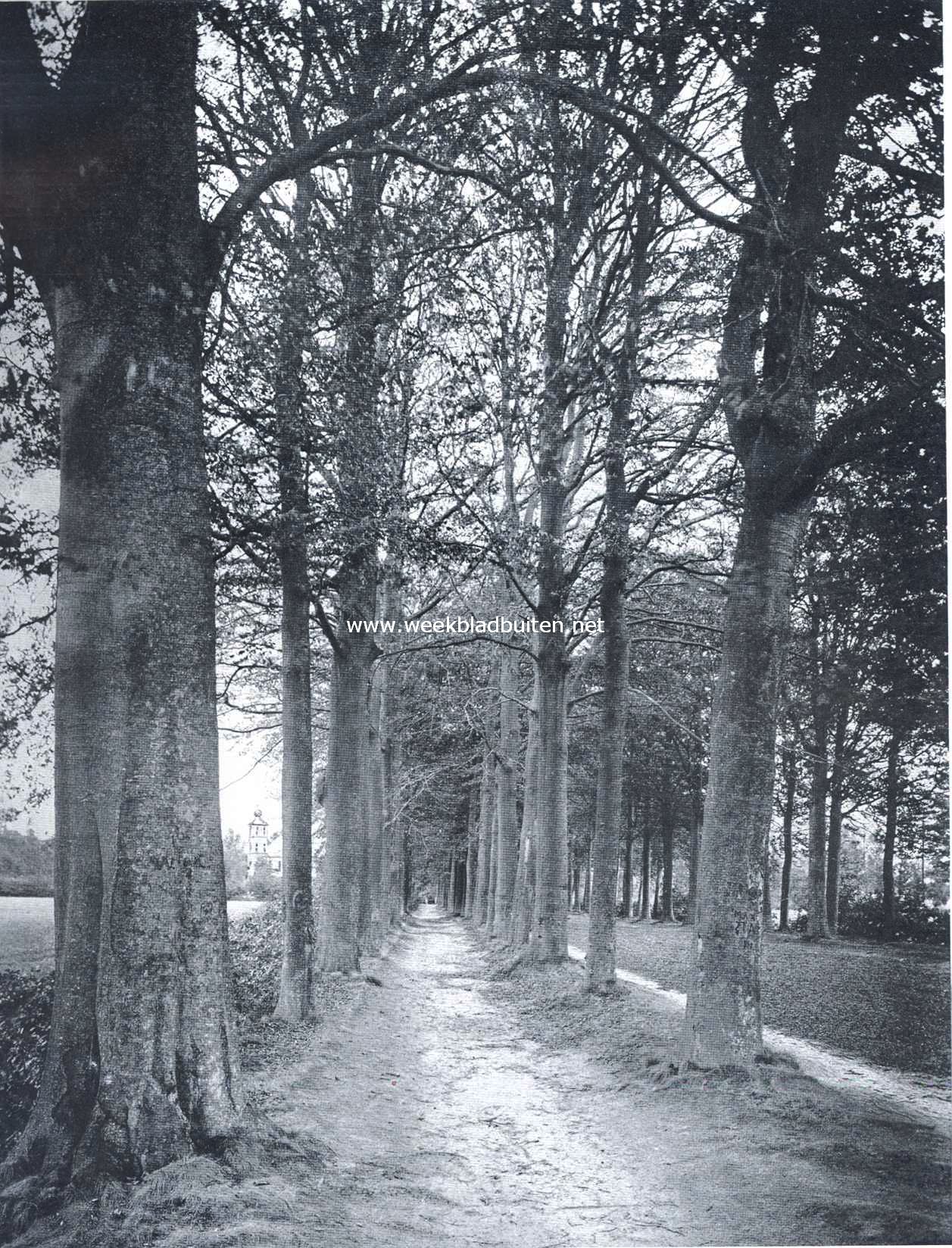Laan bij het kasteel Bouvigne te Ginneken