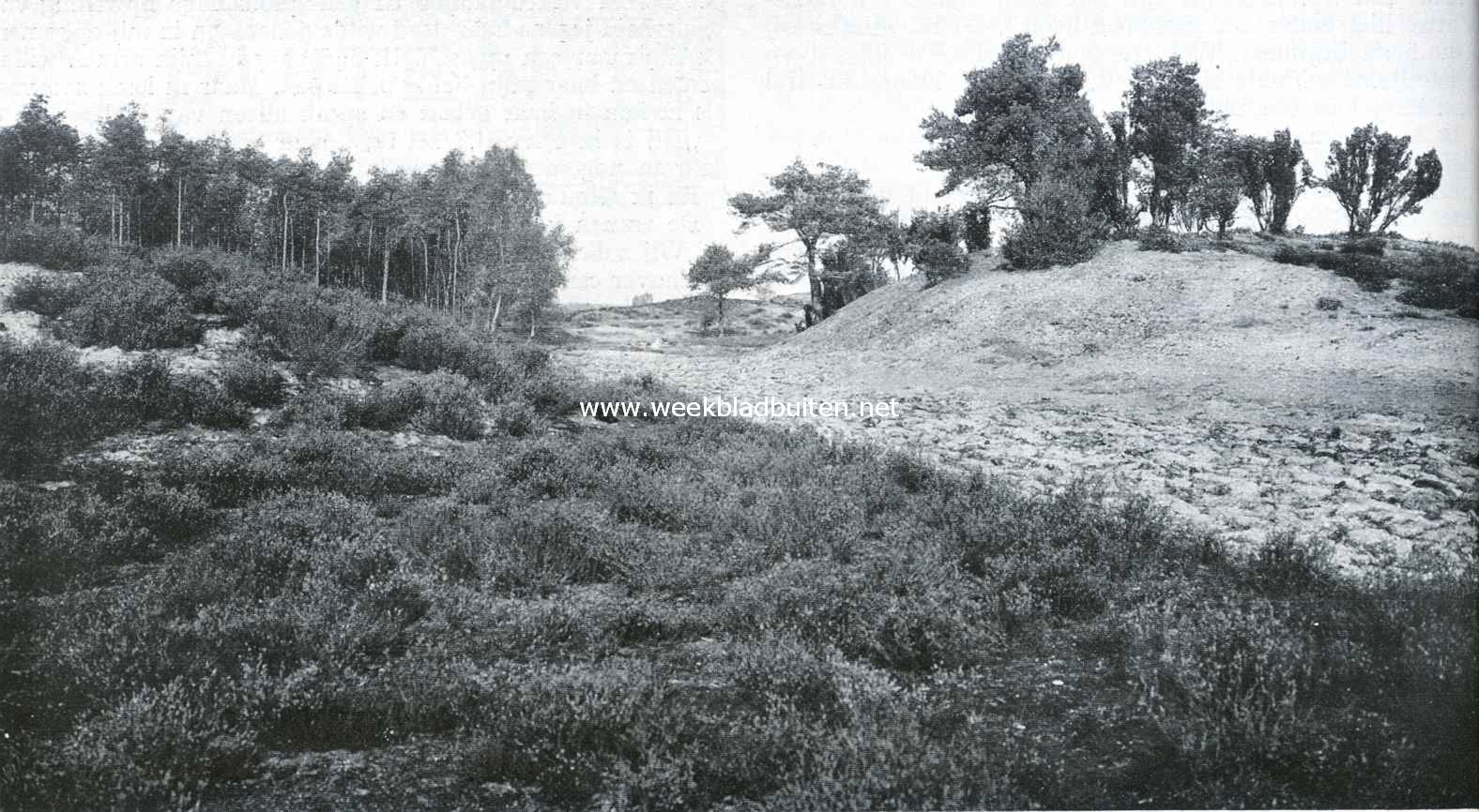 Aan den rand van de Zwarte Heuvels bij Bilthoven
