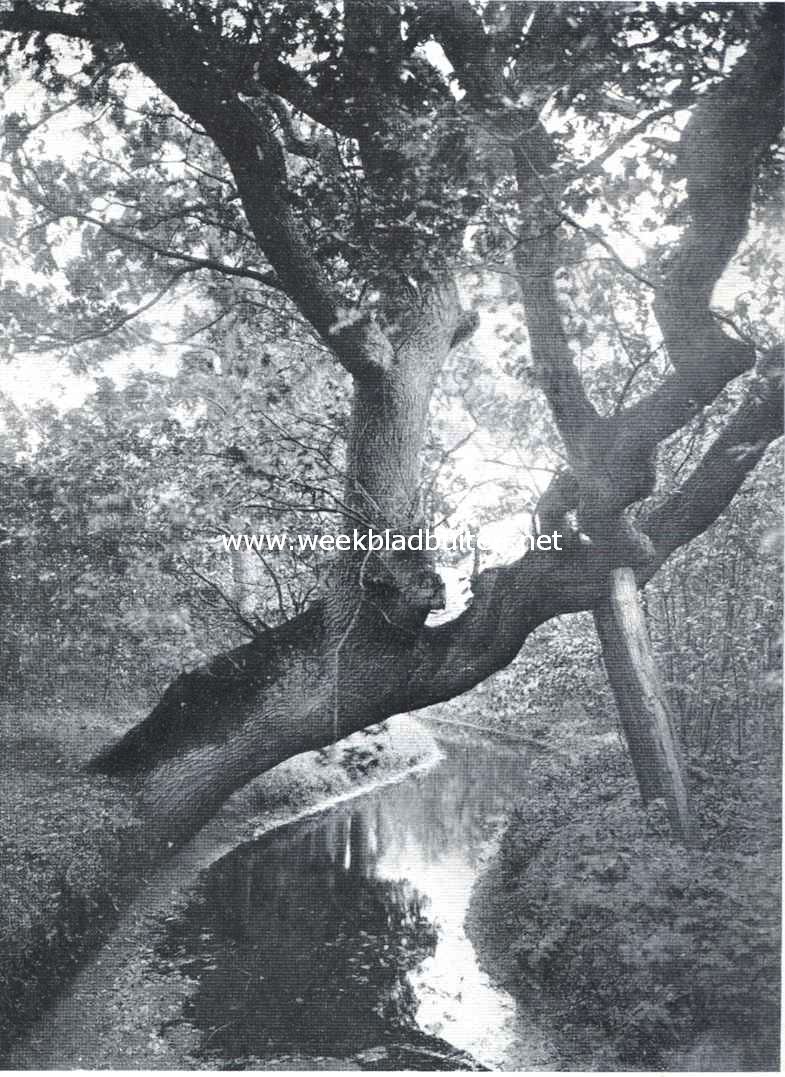 Duinrel. Een idyllisch plekje op het landgoed