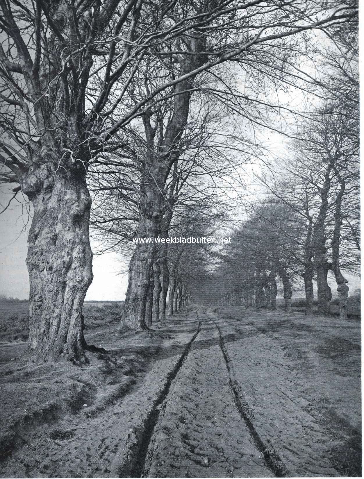 Oude Veenendaalsche weg bij Rhenen