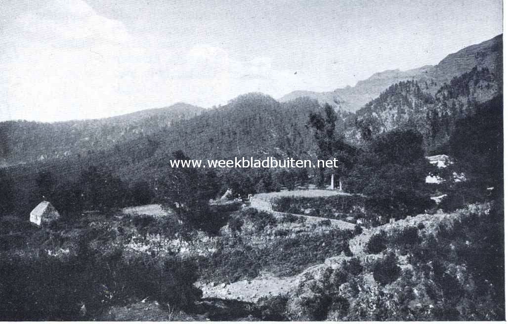 Reisindrukken van de Canarische Eilanden. Agua Mansa bij Oratava