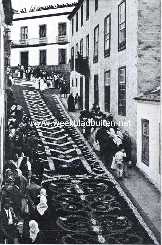 Reisindrukken van de Canarische Eilanden. Straatverziering met Camelia's te Villa Oratava