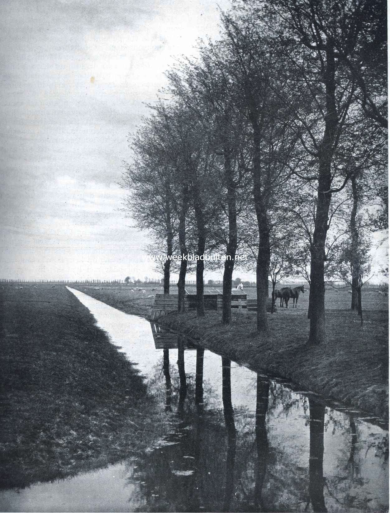 De Purmer. 1622-1922. Waar drie eeuwen geleden een uitgestrekt meer golfde .