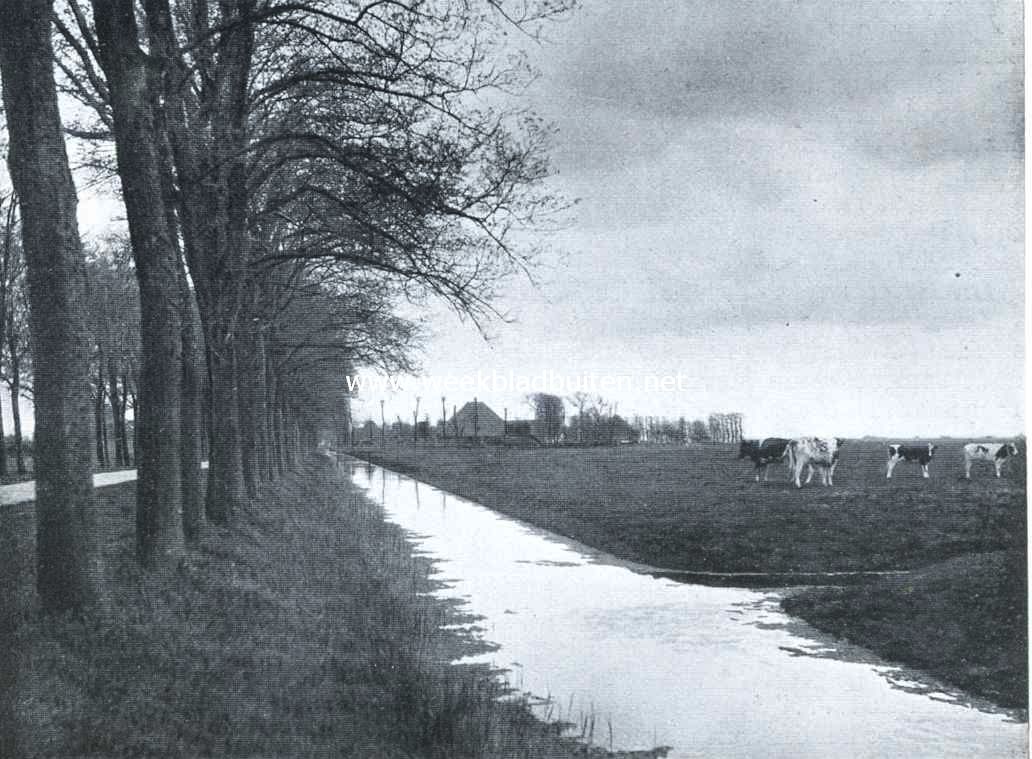 Kijkje langs een der wegen in de Purmer