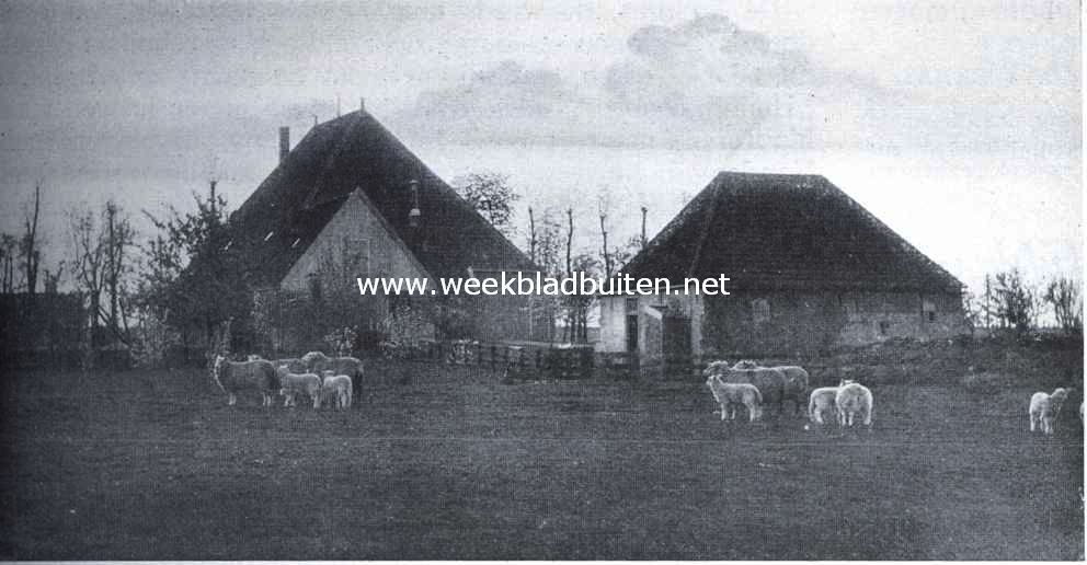 Een der oudste boerderijen in de Purmer