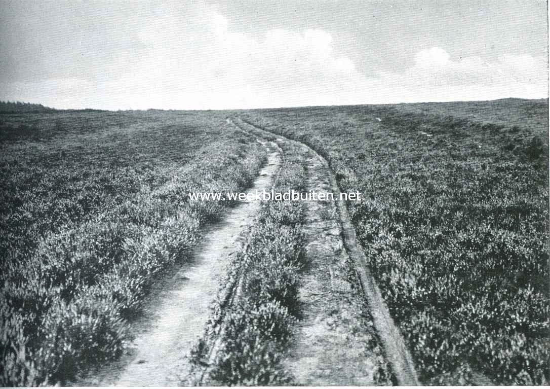 Op de heide