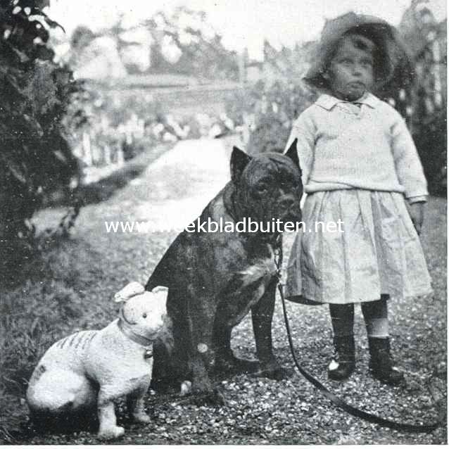 Een grappig groepje