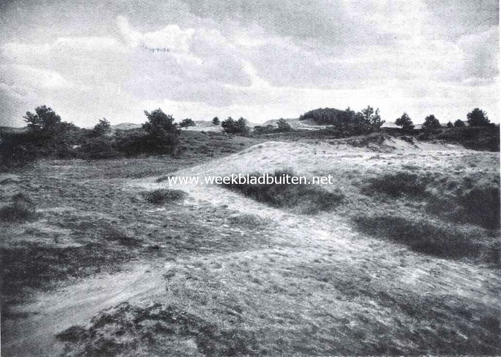 Zandduinen bij Kootwijk