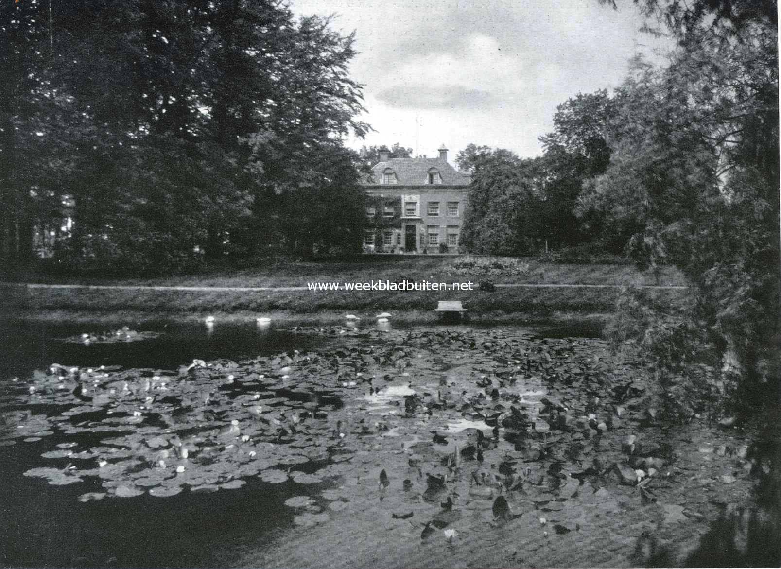 Gezicht uit het park op den achtergevel van het Huis Morren