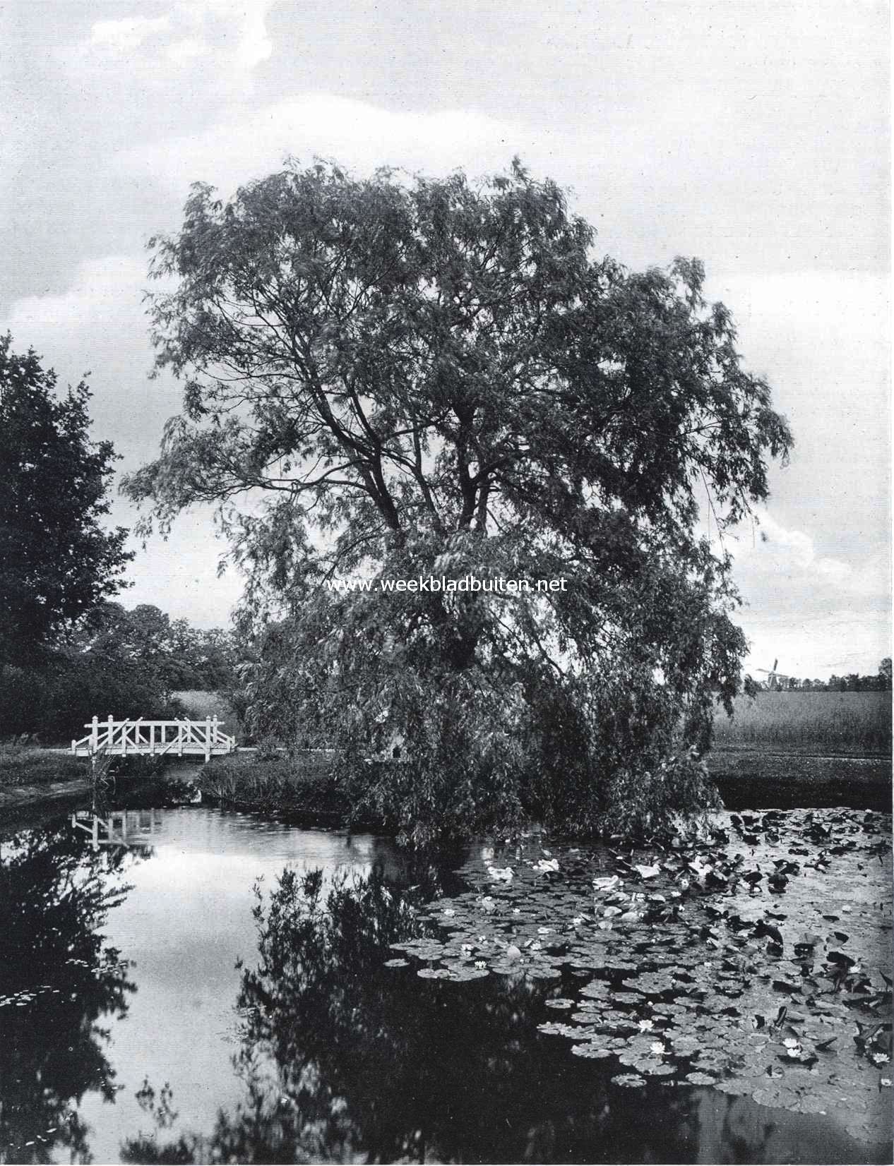 Vijver achter het Huis Morren bij Elburg