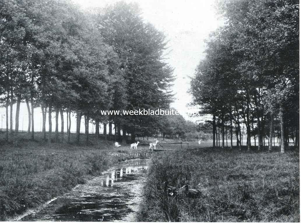 Natuurschoon om Winterswijk. Langs den Ratumschen Straatweg