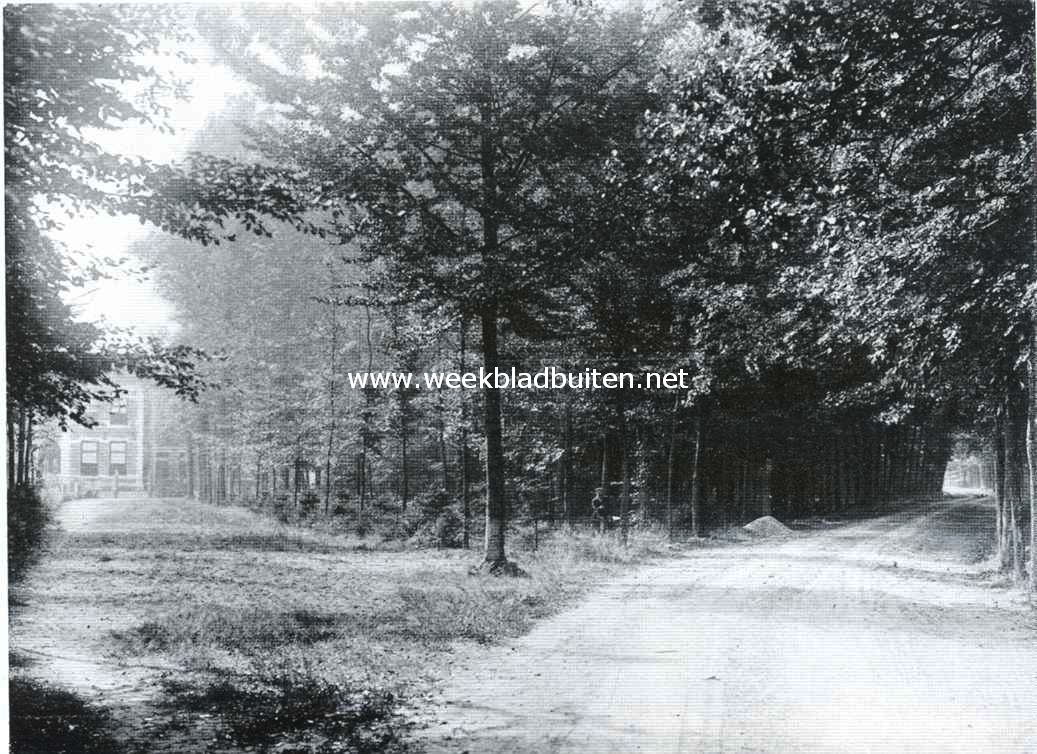 Natuurschoon om Winterswijk. In de buurtschap Woold