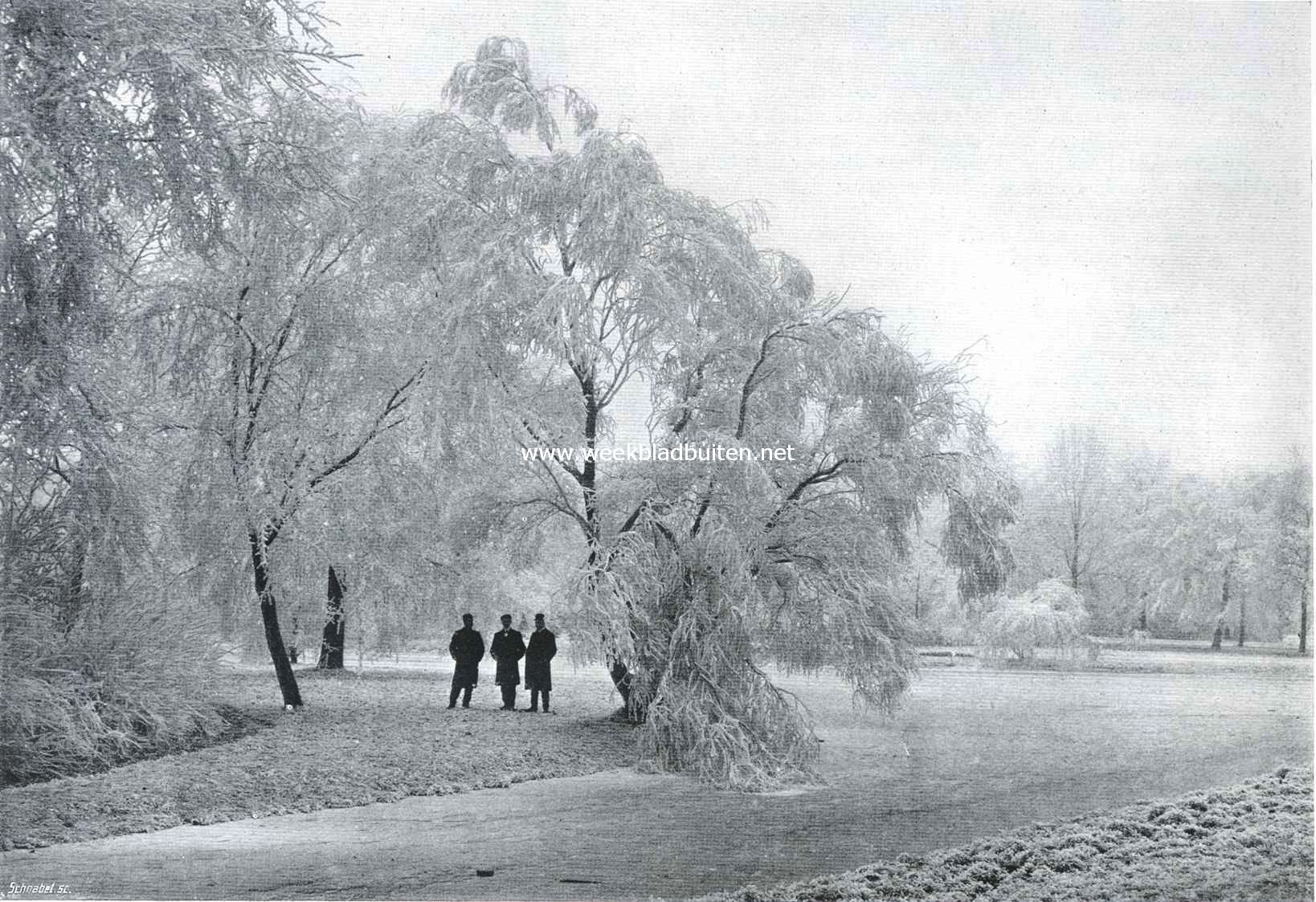 Winter in het Vondelpark