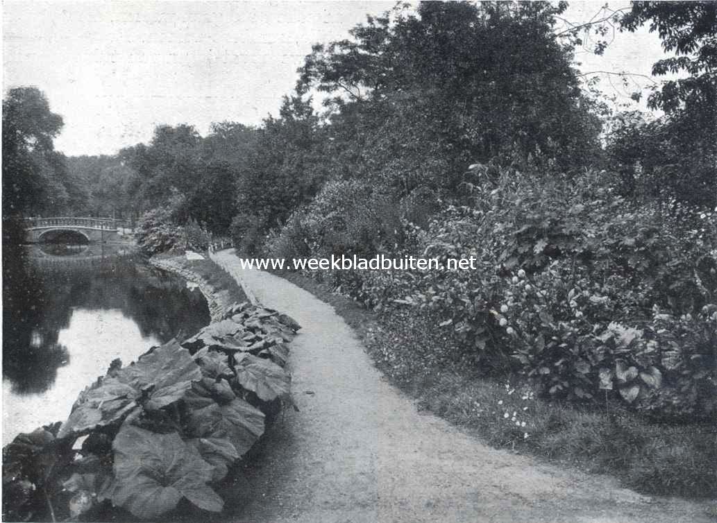 Gemengde beplantingen. Botanische 
