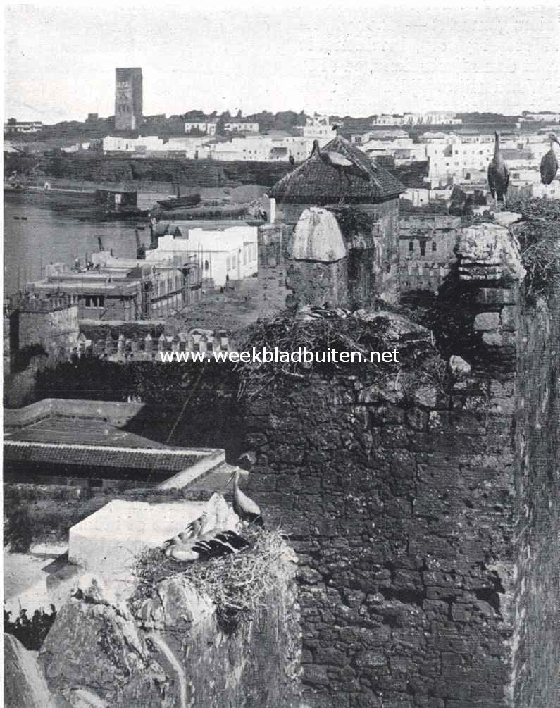Fransch-Marokko. Gezicht op Rabat, de residentie van den sultan van Marokko en van den Franschen gouverneur, met nesten der hier in groot aantal overwinterende ooievaars