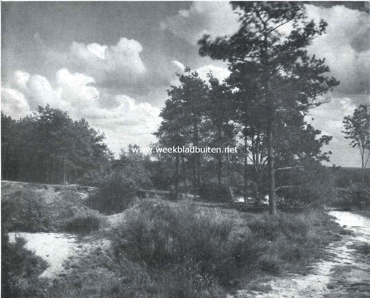 Op den Amersfoortschen Berg