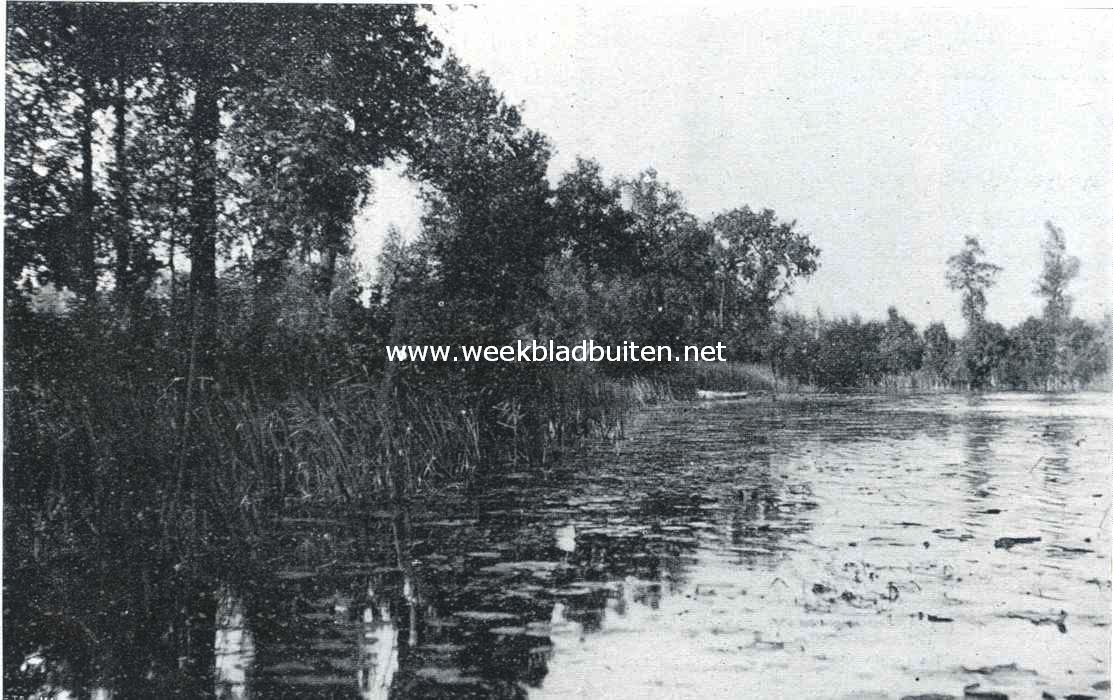 Bij den vijver
